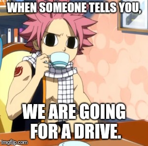 WHEN SOMEONE TELLS YOU, WE ARE GOING FOR A DRIVE. | image tagged in natsus business | made w/ Imgflip meme maker