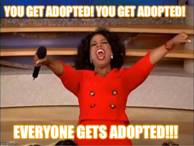 Oprah You Get A Meme | YOU GET ADOPTED! YOU GET ADOPTED! EVERYONE GETS ADOPTED!!! | image tagged in memes,oprah you get a | made w/ Imgflip meme maker