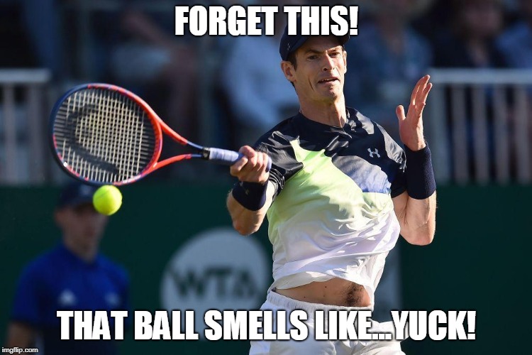 Say Hi to new meme! | FORGET THIS! THAT BALL SMELLS LIKE...YUCK! | image tagged in disgusted murray | made w/ Imgflip meme maker