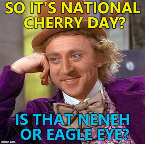 It seems every day is national *something* day... | SO IT'S NATIONAL CHERRY DAY? IS THAT NENEH OR EAGLE EYE? | image tagged in memes,creepy condescending wonka,national cherry day,music,neneh cherry,eagle eye cherry | made w/ Imgflip meme maker