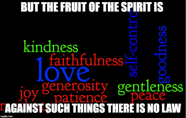 Galatians 5:22-23 Fruit of the Spirit | BUT THE FRUIT OF THE SPIRIT IS; AGAINST SUCH THINGS THERE IS NO LAW | image tagged in bible,bible verse,holy bible,holy spirit,verse,god' | made w/ Imgflip meme maker