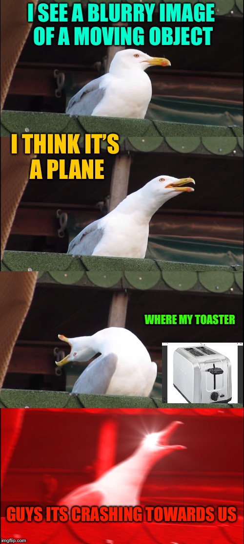 The seagulls who can’t see | I SEE A BLURRY IMAGE OF A MOVING OBJECT; I THINK IT’S A PLANE; WHERE MY TOASTER; GUYS ITS CRASHING TOWARDS US | image tagged in memes,inhaling seagull | made w/ Imgflip meme maker
