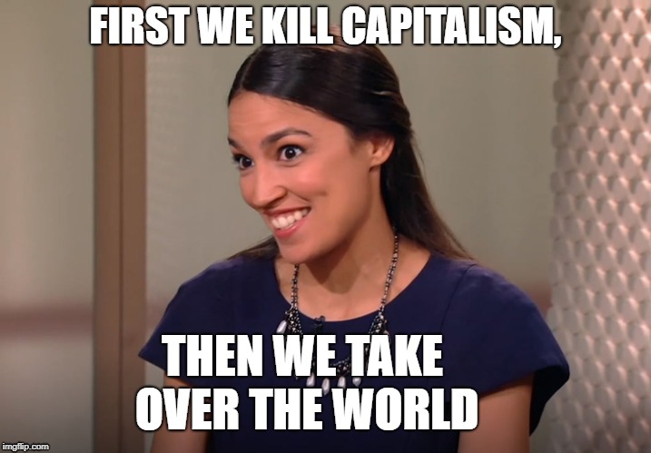 FIRST WE KILL CAPITALISM, THEN WE TAKE OVER THE WORLD | image tagged in socialist democratic-socialist ol-crazy-eyes | made w/ Imgflip meme maker