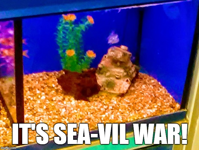 IT'S SEA-VIL WAR! | image tagged in funny | made w/ Imgflip meme maker