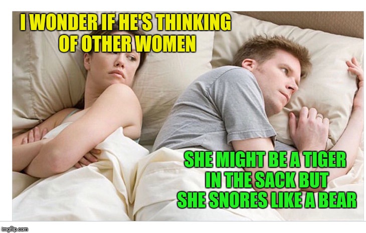 I'm sure many of you have experienced this. Lol | I WONDER IF HE'S THINKING OF OTHER WOMEN; SHE MIGHT BE A TIGER IN THE SACK BUT SHE SNORES LIKE A BEAR | image tagged in thinking of other girls,funny memes | made w/ Imgflip meme maker