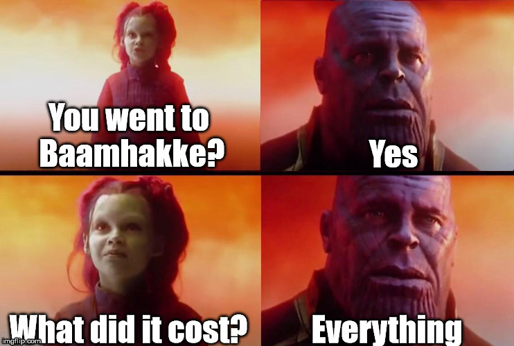 Baamhakke | Yes; You went to Baamhakke? Everything; What did it cost? | image tagged in what did it cost,thanos | made w/ Imgflip meme maker