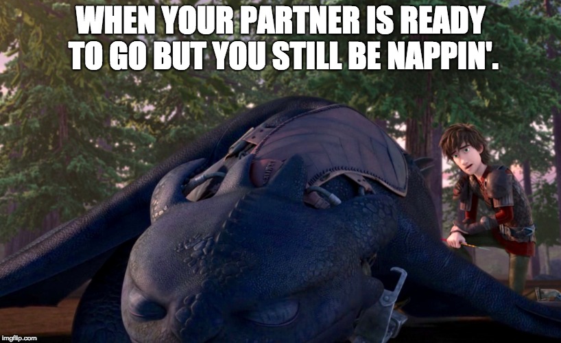 WHEN YOUR PARTNER IS READY TO GO BUT YOU STILL BE NAPPIN'. | image tagged in how to train your dragon,toothless,hiccup | made w/ Imgflip meme maker