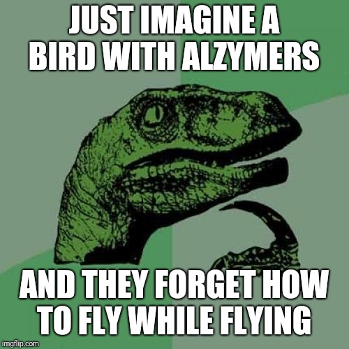 It's raining birds! | JUST IMAGINE A BIRD WITH ALZYMERS; AND THEY FORGET HOW TO FLY WHILE FLYING | image tagged in memes,philosoraptor | made w/ Imgflip meme maker