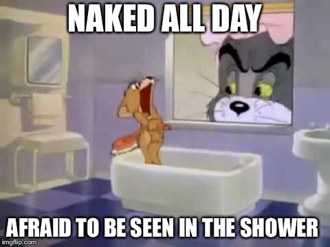 This is cartoon logic | NAKED ALL DAY; AFRAID TO BE SEEN IN THE SHOWER | image tagged in logic,memes | made w/ Imgflip meme maker