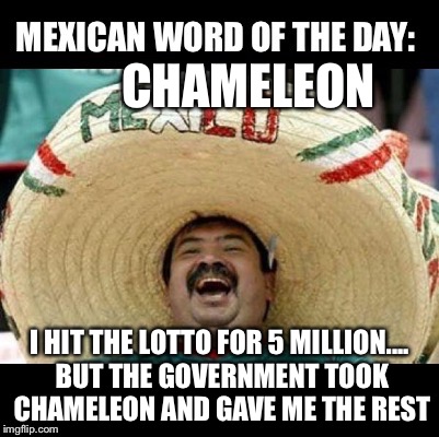 Mexican Word of the Day (LARGE) | CHAMELEON; I HIT THE LOTTO FOR 5 MILLION.... BUT THE GOVERNMENT TOOK CHAMELEON AND GAVE ME THE REST | image tagged in mexican word of the day large | made w/ Imgflip meme maker