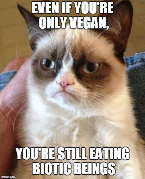 Plants are living beings, too (I'm not vegan, and I'm not protesting. Just stating a fact.). | EVEN IF YOU'RE ONLY VEGAN, YOU'RE STILL EATING BIOTIC BEINGS | image tagged in memes,grumpy cat,vegan,living,plants,diet | made w/ Imgflip meme maker