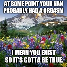 AT SOME POINT YOUR NAN PROBABLY HAD A ORGASM; I MEAN YOU EXIST SO IT'S GOTTA BE TRUE. | image tagged in ironic quotes | made w/ Imgflip meme maker