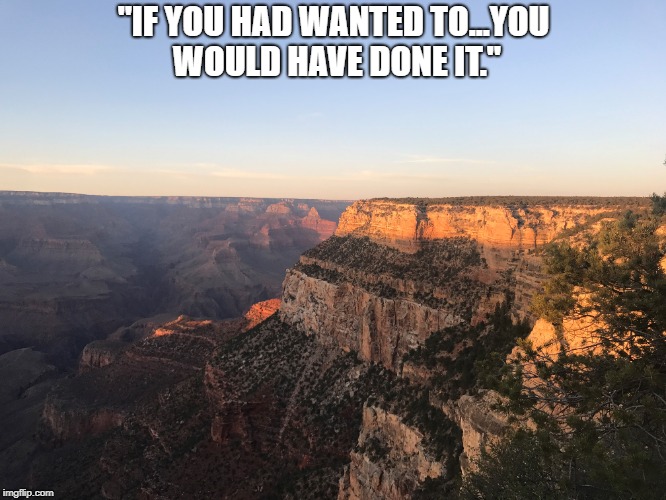 "IF YOU HAD WANTED TO...YOU WOULD HAVE DONE IT." | made w/ Imgflip meme maker