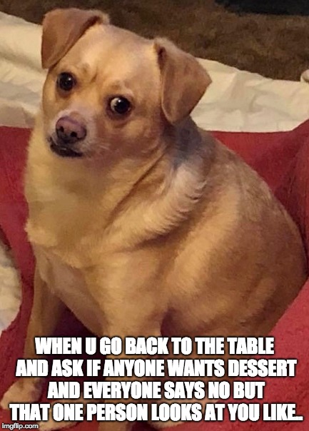 WHEN U GO BACK TO THE TABLE AND ASK IF ANYONE WANTS DESSERT AND EVERYONE SAYS NO BUT THAT ONE PERSON LOOKS AT YOU LIKE.. | image tagged in serverlife | made w/ Imgflip meme maker