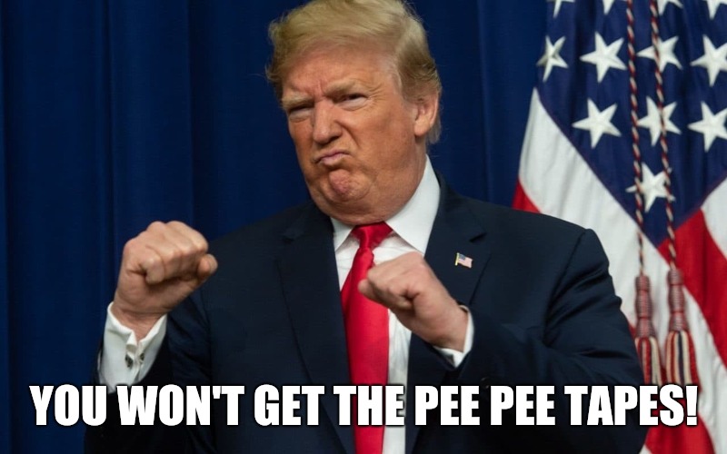 Trump protects pee pee | YOU WON'T GET THE PEE PEE TAPES! | image tagged in impeach trump,trump impeachment,trump meme,donald trump,trump russia collusion,trump russia | made w/ Imgflip meme maker