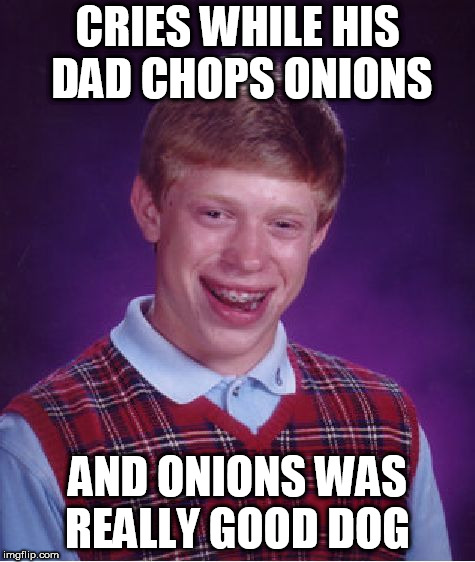 Bad Luck Brian | CRIES WHILE HIS DAD CHOPS ONIONS; AND ONIONS WAS REALLY GOOD DOG | image tagged in memes,bad luck brian | made w/ Imgflip meme maker
