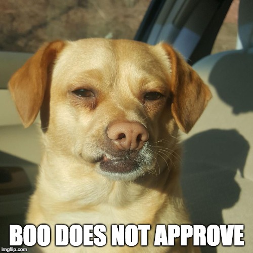 BOO DOES NOT APPROVE | image tagged in boo disapproves | made w/ Imgflip meme maker