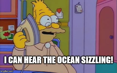 I CAN HEAR THE OCEAN SIZZLING! | image tagged in old people | made w/ Imgflip meme maker