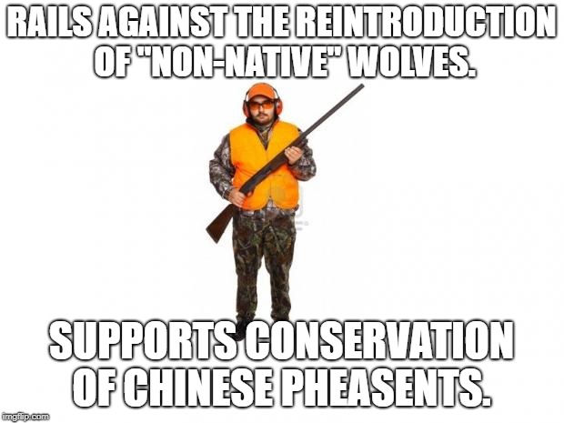Hunter | RAILS AGAINST THE REINTRODUCTION OF "NON-NATIVE" WOLVES. SUPPORTS CONSERVATION OF CHINESE PHEASENTS. | image tagged in hunter,hunting,hunting season,wolf,wildlife | made w/ Imgflip meme maker