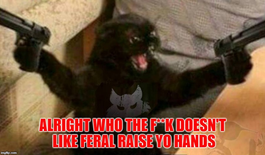 ALRIGHT WHO THE F**K DOESN'T LIKE FERAL RAISE YO HANDS | made w/ Imgflip meme maker