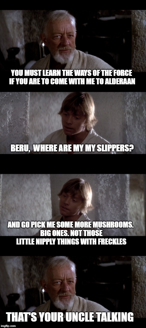 YOU MUST LEARN THE WAYS OF THE FORCE IF YOU ARE TO COME WITH ME TO ALDERAAN; BERU,  WHERE ARE MY MY SLIPPERS? AND GO PICK ME SOME MORE MUSHROOMS. BIG ONES. NOT THOSE LITTLE NIPPLY THINGS WITH FRECKLES; THAT'S YOUR UNCLE TALKING | made w/ Imgflip meme maker