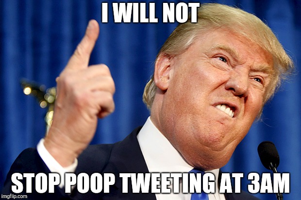 Donald Trump | I WILL NOT; STOP POOP TWEETING AT 3AM | image tagged in donald trump | made w/ Imgflip meme maker