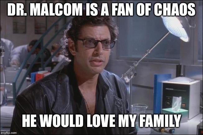 Dr. Ian Malcom (Jeff Goldblum) | DR. MALCOM IS A FAN OF CHAOS; HE WOULD LOVE MY FAMILY | image tagged in dr ian malcom jeff goldblum,chaos | made w/ Imgflip meme maker