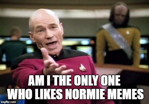 Picard Wtf Meme | AM I THE ONLY ONE WHO LIKES NORMIE MEMES | image tagged in memes,picard wtf | made w/ Imgflip meme maker