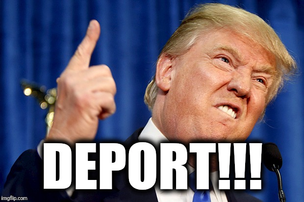 Donald Trump | DEPORT!!! | image tagged in donald trump | made w/ Imgflip meme maker