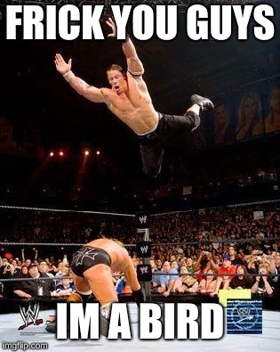 WWE | FRICK YOU GUYS; IM A BIRD | image tagged in wwe | made w/ Imgflip meme maker