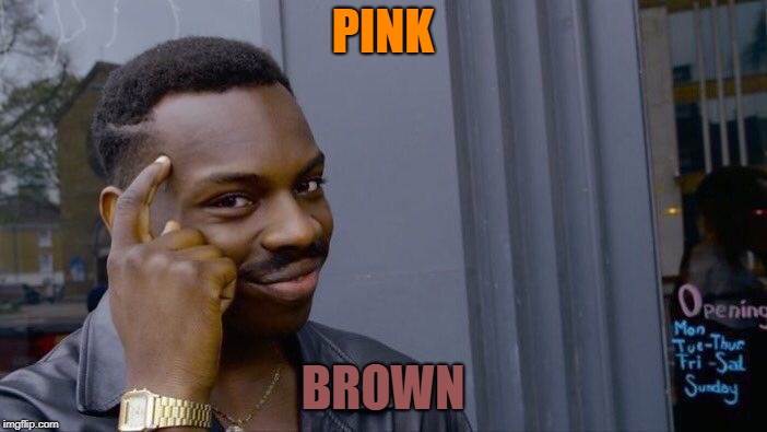 Roll Safe Think About It Meme | PINK BROWN | image tagged in memes,roll safe think about it | made w/ Imgflip meme maker