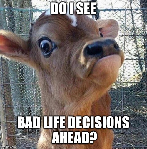 Eye spy cow | DO I SEE; BAD LIFE DECISIONS AHEAD? | image tagged in memes,bad decision,eye spy cow | made w/ Imgflip meme maker