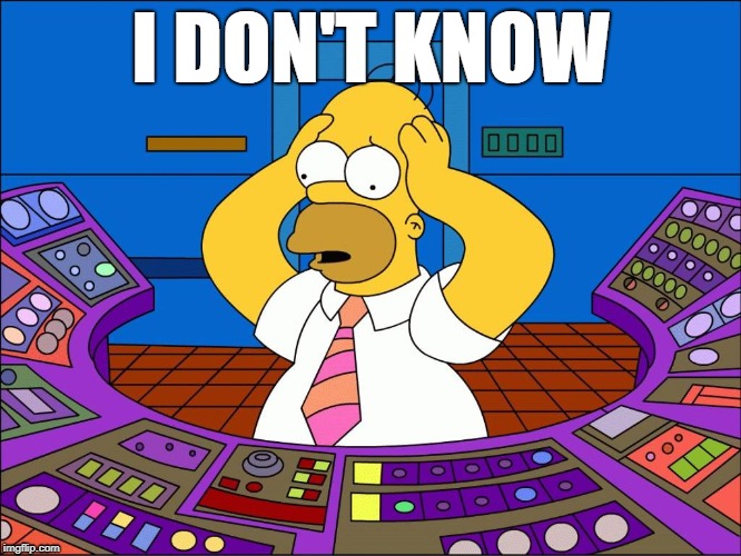 Worrying Homer | I DON'T KNOW | image tagged in worrying homer | made w/ Imgflip meme maker