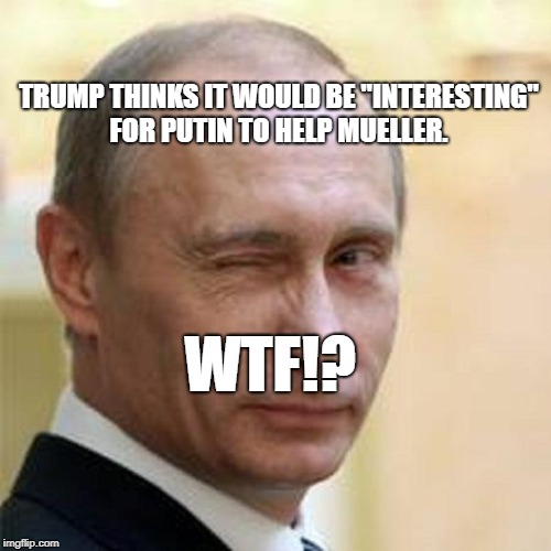 Putin Winking | TRUMP THINKS IT WOULD BE "INTERESTING" FOR PUTIN TO HELP MUELLER. WTF!? | image tagged in putin winking | made w/ Imgflip meme maker