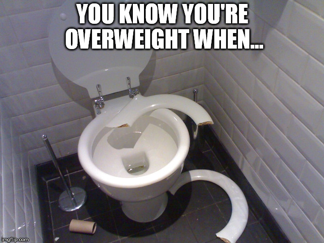 Overweight Toilet | YOU KNOW YOU'RE OVERWEIGHT WHEN... | image tagged in overweight,fat,toilet,seat,joke | made w/ Imgflip meme maker