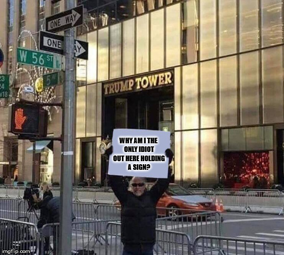 When the protest date gets moved and they forget to tell you.  | WHY AM I THE ONLY IDIOT OUT HERE HOLDING A SIGN? | image tagged in crying democrats,liberalism is a mental disorder,clifton shepherd cliffshep,maga | made w/ Imgflip meme maker