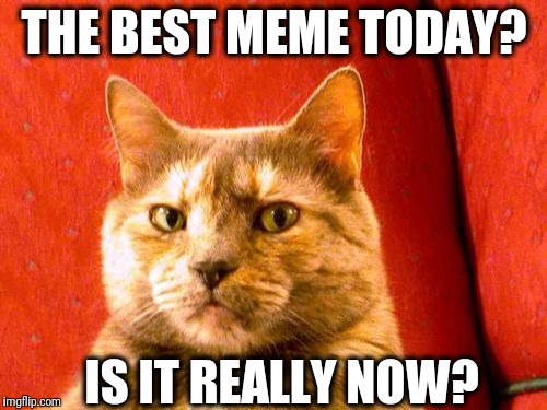 Suspicious Cat Meme | THE BEST MEME TODAY? IS IT REALLY NOW? | image tagged in memes,suspicious cat | made w/ Imgflip meme maker