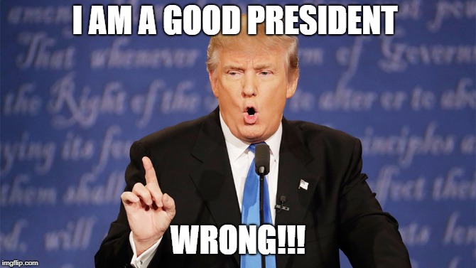 Donald Trump Wrong |  I AM A GOOD PRESIDENT; WRONG!!! | image tagged in donald trump wrong | made w/ Imgflip meme maker