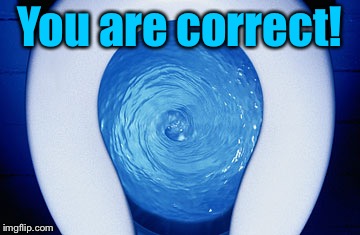 toilet flushing | You are correct! | image tagged in toilet flushing | made w/ Imgflip meme maker