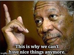 morgan freeman | This is why we can't have nice things anymore. | image tagged in morgan freeman | made w/ Imgflip meme maker