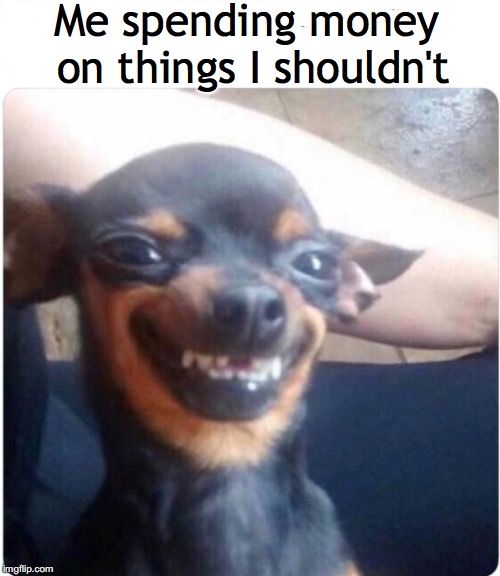 That look | Me spending money on things I shouldn't | image tagged in funny dogs,spending | made w/ Imgflip meme maker
