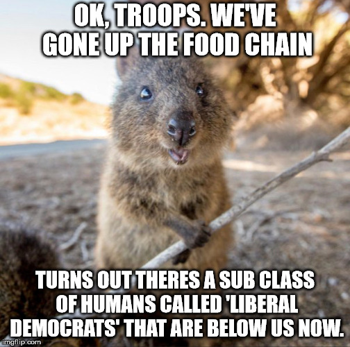 OK, TROOPS. WE'VE GONE UP THE FOOD CHAIN; TURNS OUT THERES A SUB CLASS OF HUMANS CALLED 'LIBERAL DEMOCRATS' THAT ARE BELOW US NOW. | made w/ Imgflip meme maker