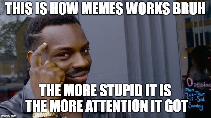 Roll Safe Think About It Meme | THIS IS HOW MEMES WORKS BRUH THE MORE STUPID IT IS THE MORE ATTENTION IT GOT | image tagged in memes,roll safe think about it | made w/ Imgflip meme maker