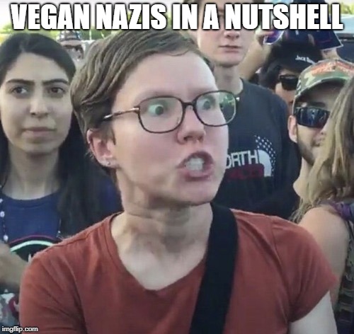Triggered feminist | VEGAN NAZIS IN A NUTSHELL | image tagged in triggered feminist | made w/ Imgflip meme maker