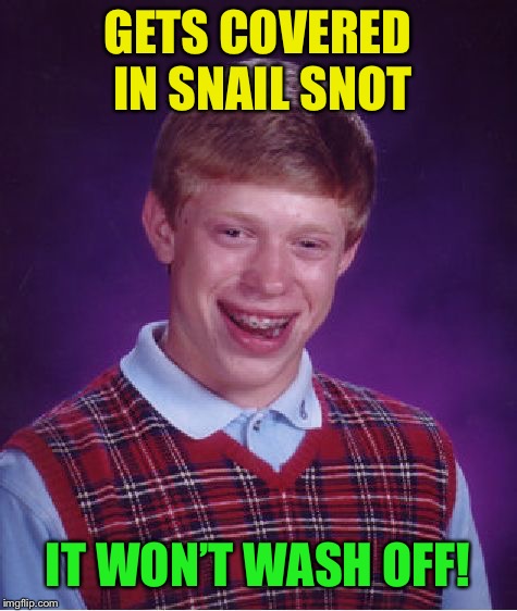 Bad Luck Brian Meme | GETS COVERED IN SNAIL SNOT IT WON’T WASH OFF! | image tagged in memes,bad luck brian | made w/ Imgflip meme maker
