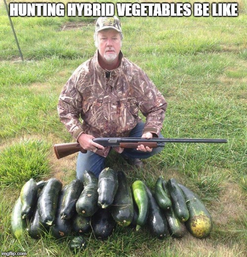 Vegan Hunting | HUNTING HYBRID VEGETABLES BE LIKE | image tagged in vegan hunting | made w/ Imgflip meme maker