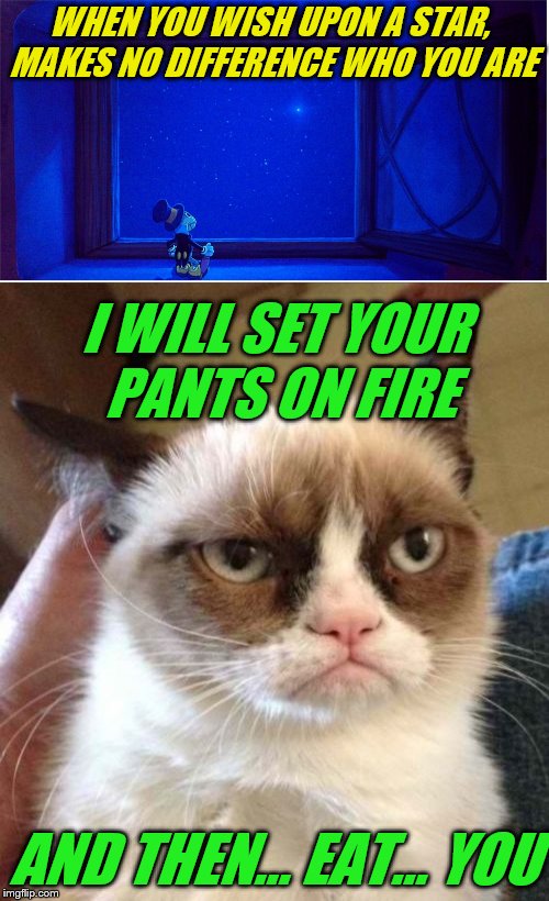 Not a lover of singing crickets. |  WHEN YOU WISH UPON A STAR, MAKES NO DIFFERENCE WHO YOU ARE; I WILL SET YOUR PANTS ON FIRE; AND THEN... EAT... YOU | image tagged in memes,when you wish upon a star,song lyrics,grumpt cat reversed,jiminy cricket | made w/ Imgflip meme maker
