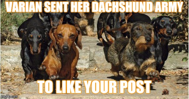 Varian sent her dachshund army to like your post | VARIAN SENT HER DACHSHUND ARMY; TO LIKE YOUR POST | image tagged in personal uses,just ignore it | made w/ Imgflip meme maker