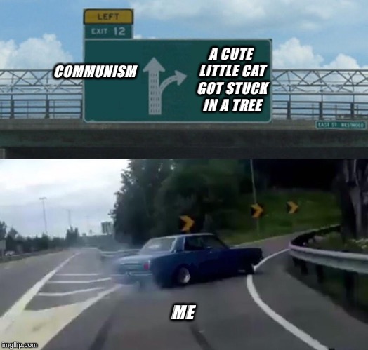 Left Exit 12 Off Ramp Meme | A CUTE LITTLE CAT GOT STUCK IN A TREE; COMMUNISM; ME | image tagged in memes,left exit 12 off ramp | made w/ Imgflip meme maker