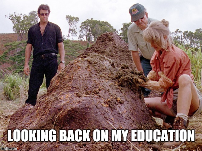 Jurassic Park Shit | LOOKING BACK ON MY EDUCATION | image tagged in jurassic park shit | made w/ Imgflip meme maker